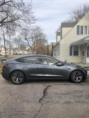 Photo of 2023 Gray Tesla Model 3