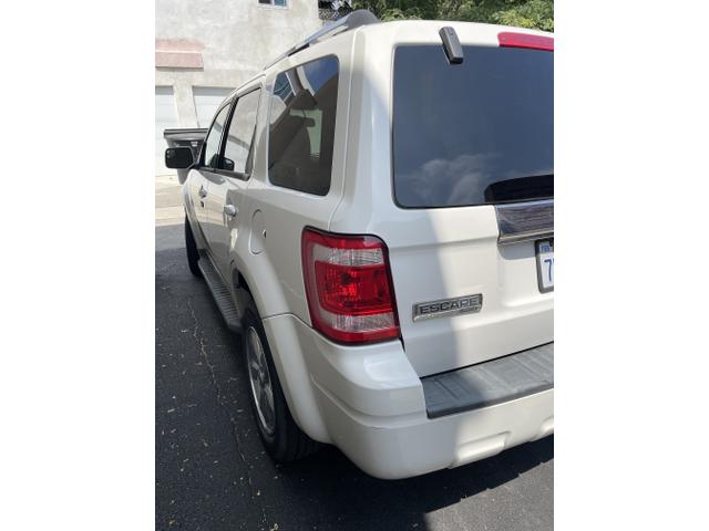 Photo of 2011 White Ford Escape