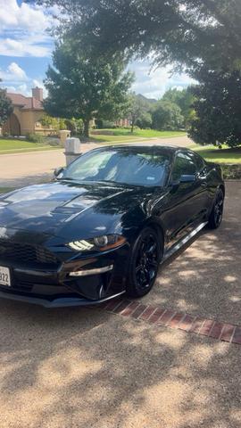 Photo of 2019 Black Ford Mustang