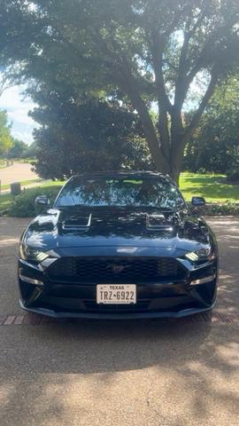 Photo of 2019 Black Ford Mustang