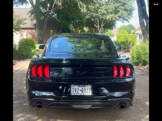Photo of 2019 Black Ford Mustang