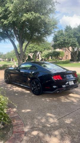 Photo of 2019 Black Ford Mustang