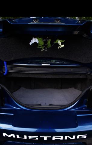 Photo of 2000 Blue Ford Mustang