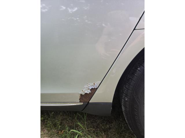 Photo of 2010 Silver Lincoln MKS