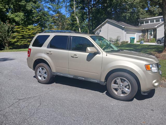 Photo of 2010 Gold Ford Escape