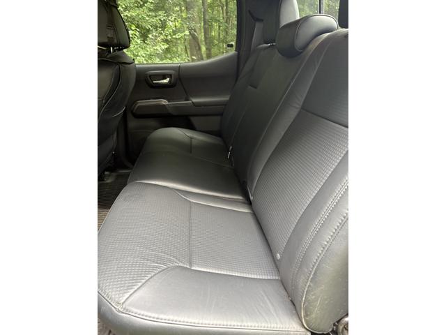 Photo of 2021 Green Toyota Tacoma
