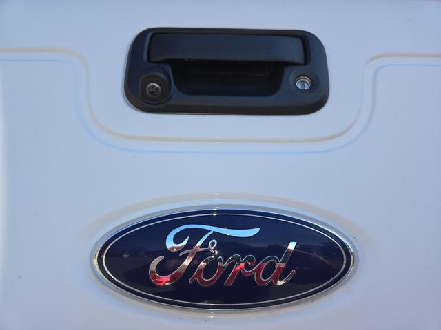 Photo of 2008 White Ford F-250