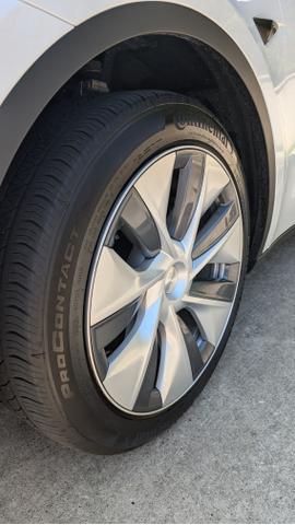 Photo of 2023 White Tesla Model Y