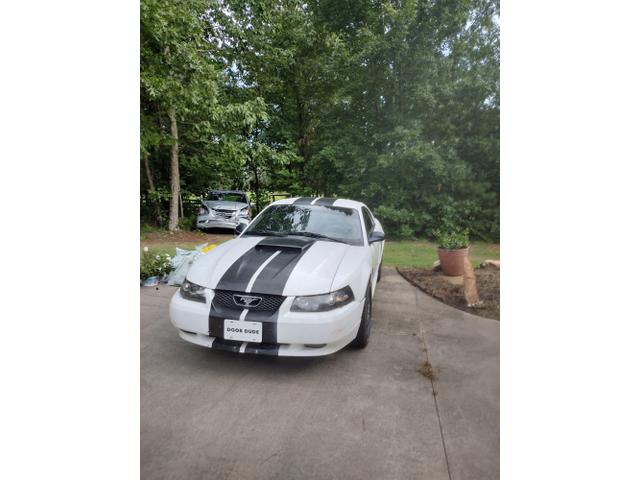 Photo of 2001 White Ford Mustang