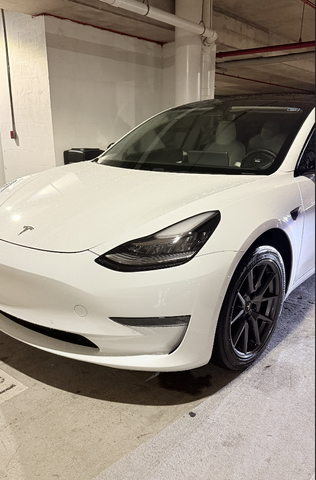 Photo of 2021 White Tesla Model 3