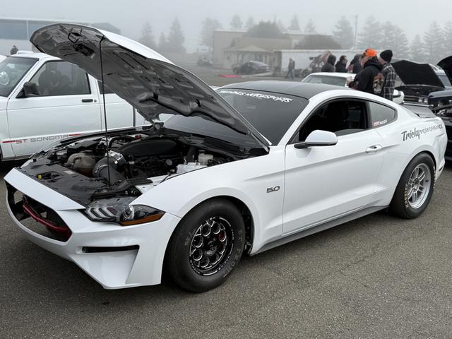 Photo of 2019 White Ford Mustang