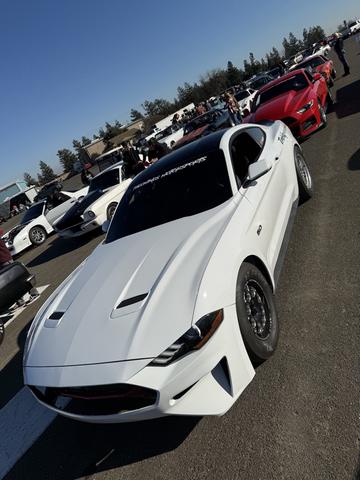 Photo of 2019 White Ford Mustang