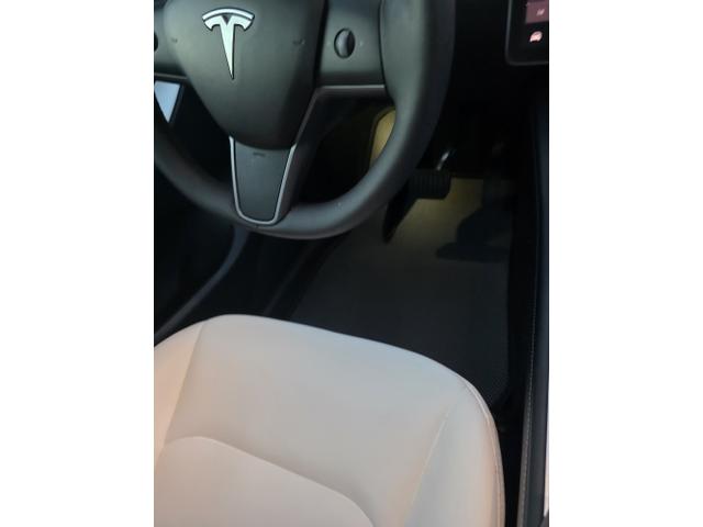 Photo of 2021 White Tesla Model Y