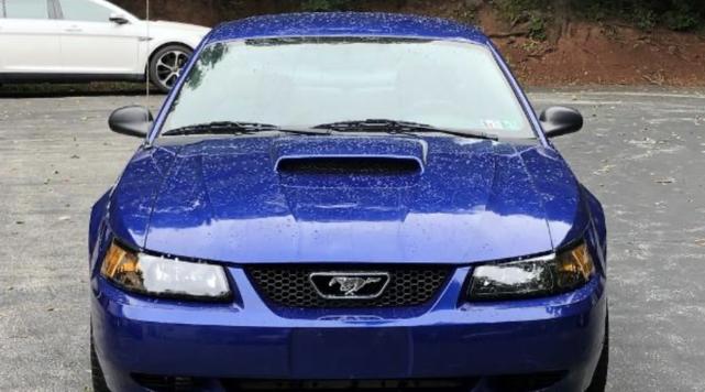 Photo of 2004 Blue Ford Mustang