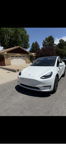 Photo of 2025 White Tesla Model Y