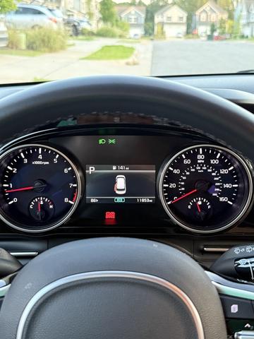 Photo of 2024 White Kia Carnival