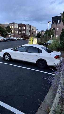Photo of 2004 White Ford Taurus