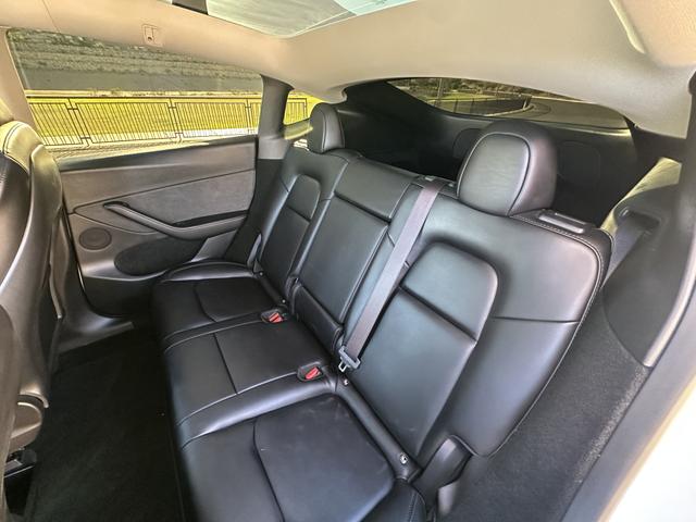 Photo of 2023 White Tesla Model Y