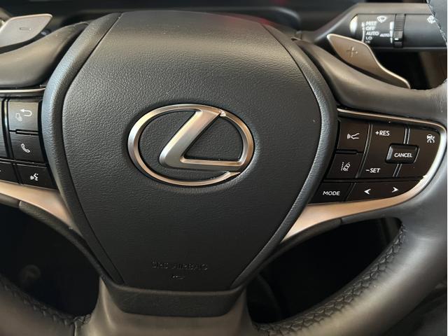 Photo of 2022 Blue Lexus ES 350
