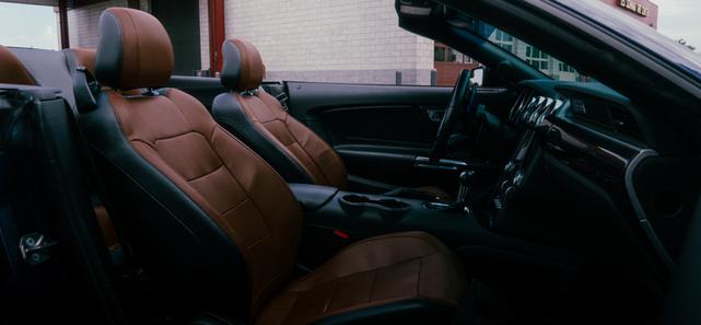 Photo of 2019 Blue Ford Mustang