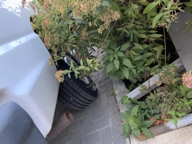 Photo of 2006 White Ford E250