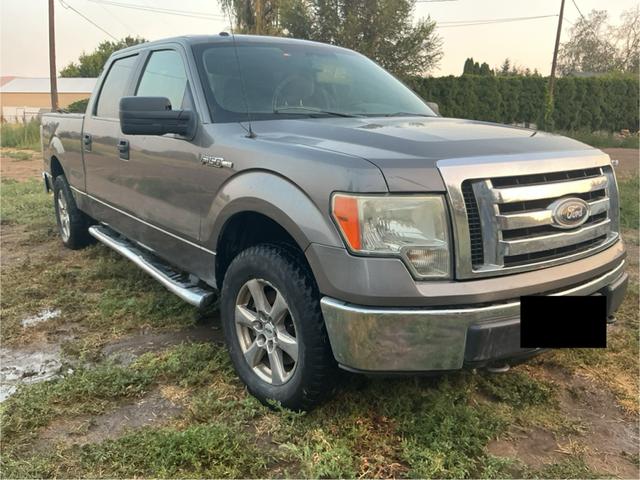 Photo of 2010 Gray Ford F-150