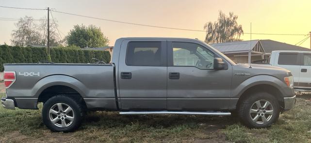 Photo of 2010 Gray Ford F-150
