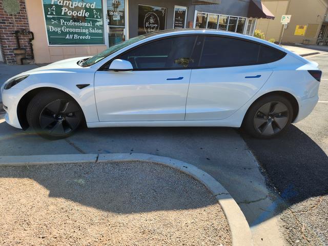 Photo of 2021 White Tesla Model 3