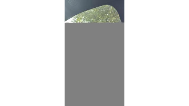 Photo of 2019 Black Ford F-150