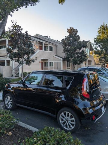 Photo of 2018 Black Kia Soul