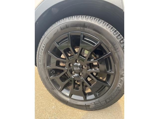 Photo of 2021 White Kia Telluride