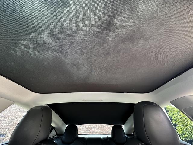 Photo of 2019 Blue Tesla Model 3
