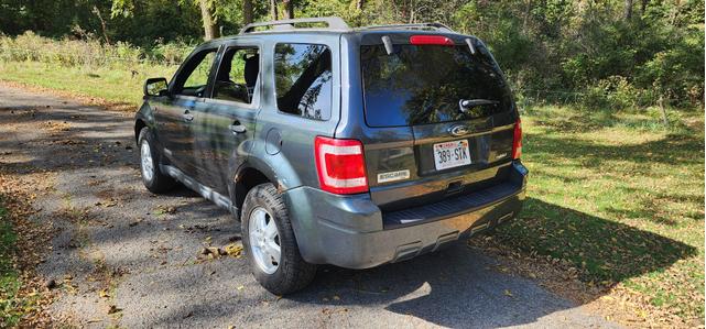 Photo of 2008 Gray Ford Escape