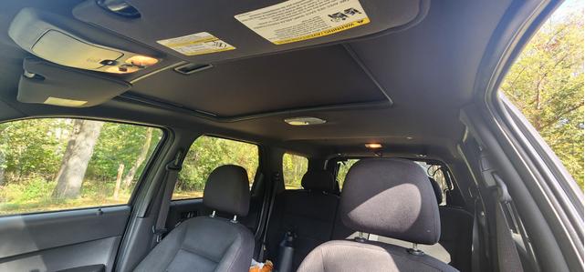 Photo of 2008 Gray Ford Escape