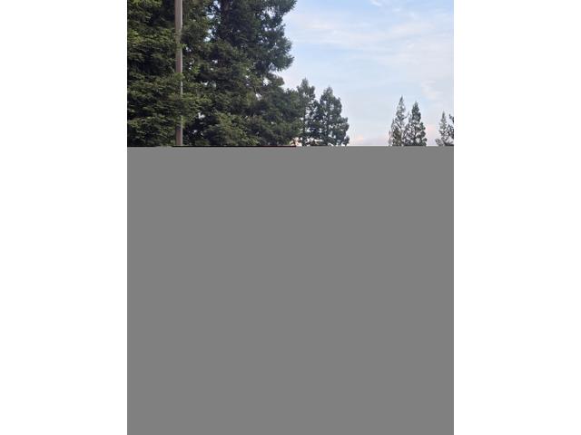 Photo of 2004 White Lexus LS 430