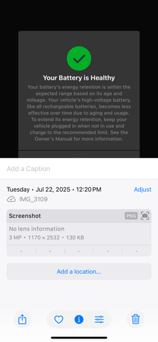 Photo of 2024 Gray Tesla Model Y