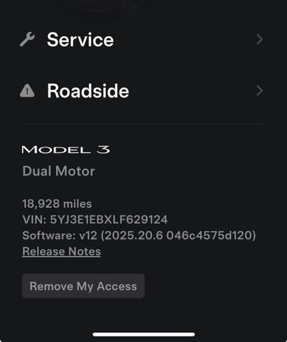 Photo of 2020 White Tesla Model 3