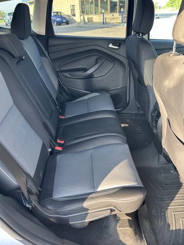 Photo of 2019 White Ford Escape