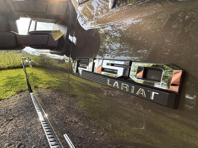 Photo of 2015 Brown Ford F-150