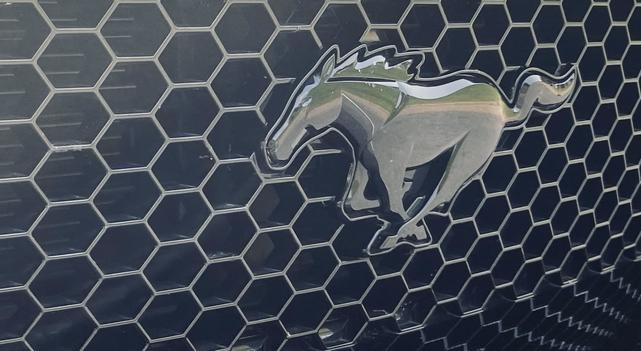 Photo of 2022 Gold Ford Mustang