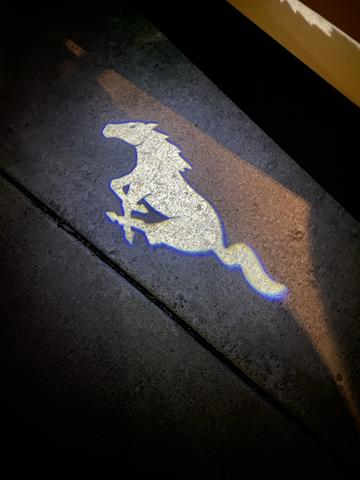 Photo of 2022 Gold Ford Mustang