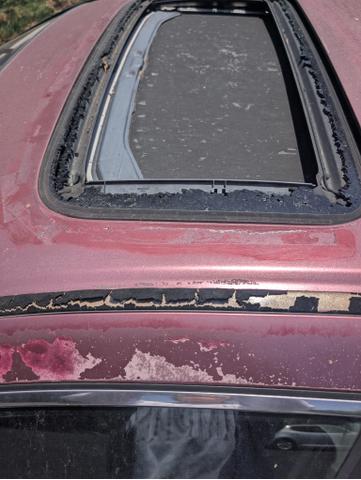 Photo of 2005 Red Honda Accord