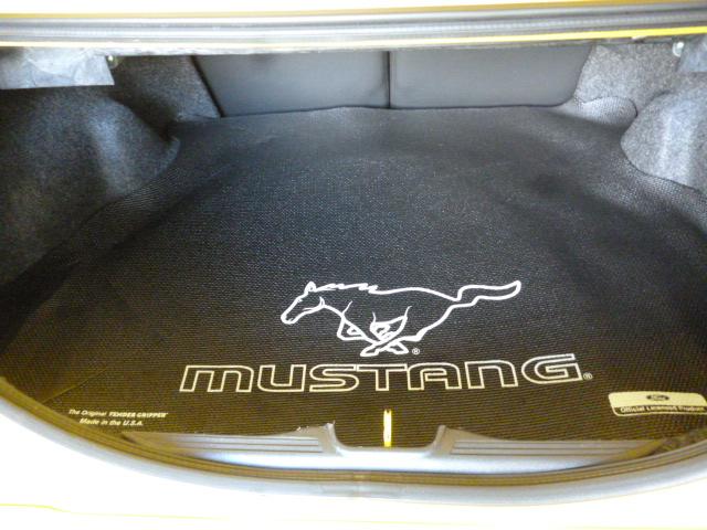 Photo of 1999 Yellow Ford Mustang