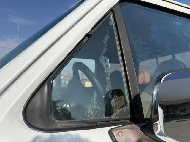 Photo of 1995 White Ford F-150