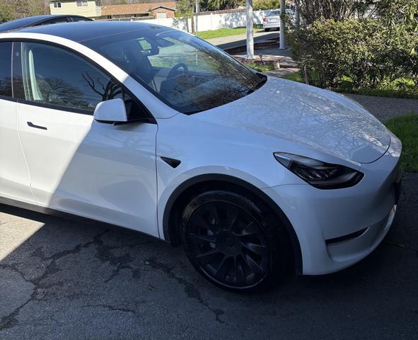 Photo of 2021 White Tesla Model Y