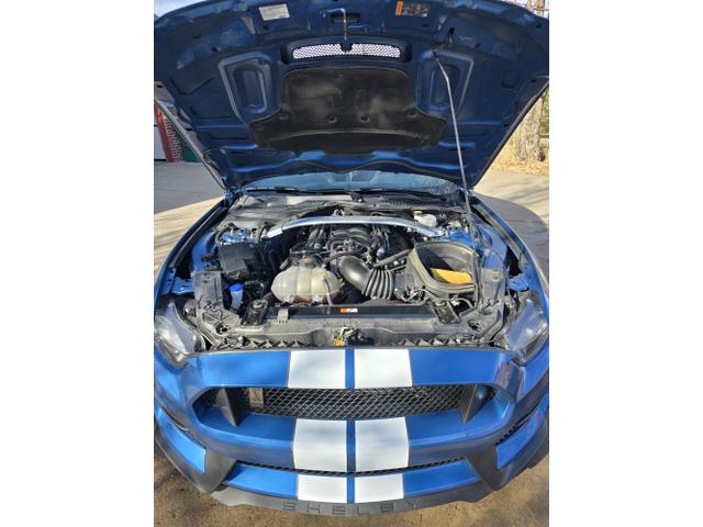 Photo of 2020 Blue Ford Shelby GT350
