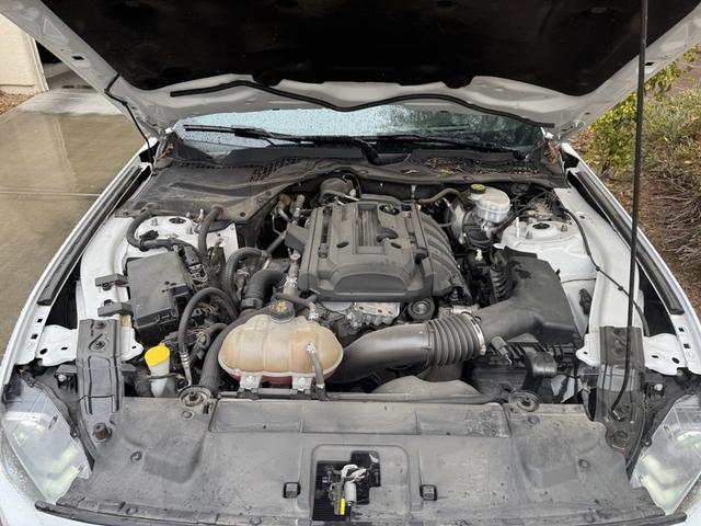 Photo of 2019 White Ford Mustang