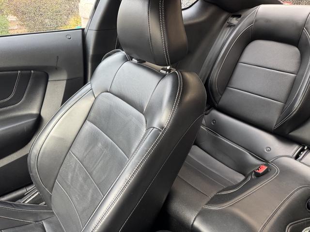 Photo of 2019 White Ford Mustang