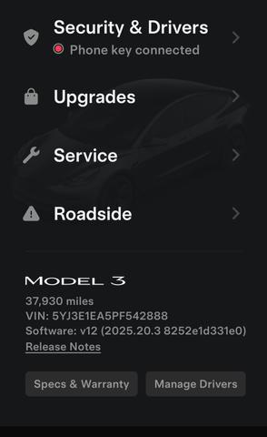 Photo of 2023 Gray Tesla Model 3
