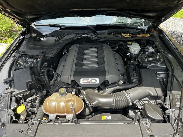 Photo of 2017 Gray Ford Mustang